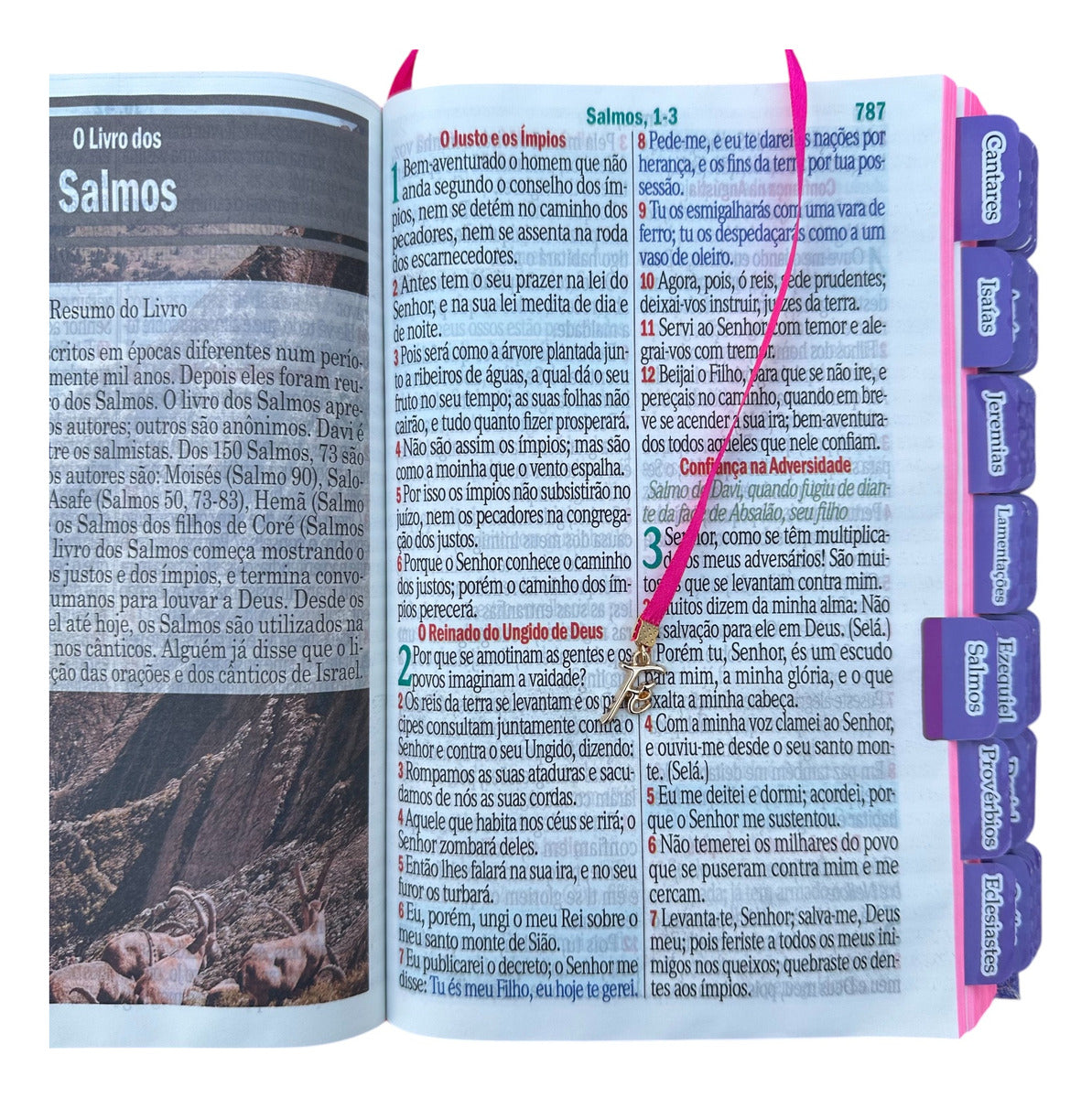 Kit Bíblia Jumbo 100% Glitter Lilás Com Abas Adesivas E Pingente Cp Dura Acolchoada + Caneta + Devocional
