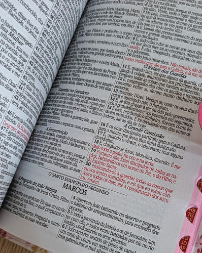 Bíblia Sagrada Letra Gigante Com Harpa Feminina Índice